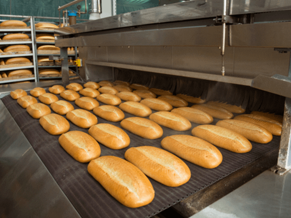 food-processing-products
